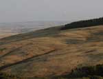 В Челябинской области не сохраняют эталонные степные ландшафты