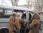 На Южном Урале пройдет операция «Маршрутка – Школьный автобус»