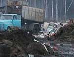 Челябинску в строительстве полигона для утилизации мусора может помочь Москва