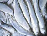 Новинки южноуральской торговли: рыба, глазированная льдом,  и семечки с фекалиями