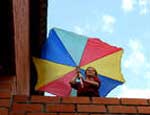 Южноуральская первоклассница выпрыгнула из окна с зонтиком в руках
