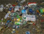 Челябинские перевозчики бытовых отходов обратились к властям и ЕТО с просьбой повысить тариф на перевозку мусора