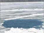 В Челябинской области по трагической случайности подо льдом утонули два брата