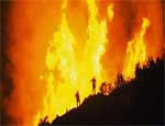 На Южном Урале крупный пожар уничтожил 2 тысячи гектаров леса