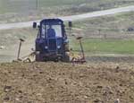 В Челябинской области завершили посадку лука и моркови, но продолжают сеять пшеницу