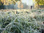 На Южном Урале прогнозируются заморозки до -6