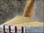 Южноуральские аграрии поставили в госфонд более 30 тысяч тонн зерна