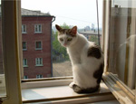 Названы три самых ужасных района Москвы, где люди не хотят жить Названы три самых ужасных района Москвы, где люди не хотят жить
