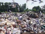 "Внешэкономбанк" поможет построить Челябинской области мусорные полигоны