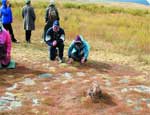 Южноуральские археологи ищут захоронения древних ариев