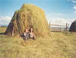 Проблему с кормами на Южном Урале надеются решить за счет сенажа и силоса