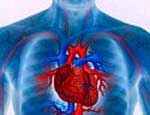 Молодые южноуральцы стали чаще получать инфаркт миокарда