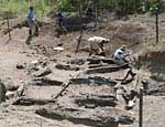 Археологи требуют у челябинских властей 40 миллионов рублей