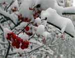 На Южном Урале ожидаются сильные снегопады