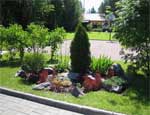В Челябинске решили отказаться от естественных газонов