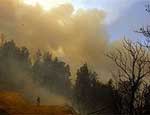 За месяц на Южном Урале произошло почти 700 лесных пожаров