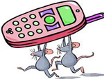 У двух выпускников челябинских школ во время ЕГЭ зазвонил мобильный телефон / Их результаты аннулируют