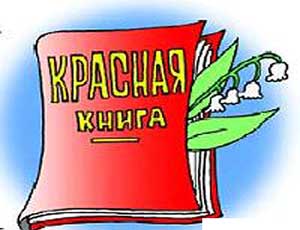 Южноуральские ученые предлагают включить в Красную книгу области балабана и бородатую неясыть Южноуральские ученые предлагают включить в Красную книгу области балабана и бородатую неясыть