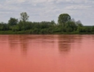 О розовой воде в озере Смолино сообщили в Генпрокуратуру РФ