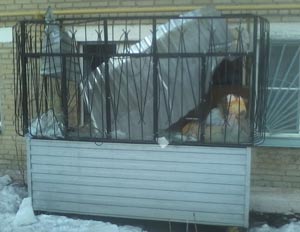 На Южном Урале управляющая компания отказывается восстанавливать пенсионерке балкон, разрушенный ледяной глыбой, упавшей с крыши (ФОТО)