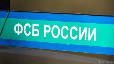 Экс-директора муниципального учреждения задержали в Челябинске