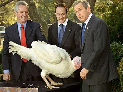 Новый Регион: Spiegel прощается с Джорджем Бушем: самые комичные снимки уходящего президента США (ФОТО)